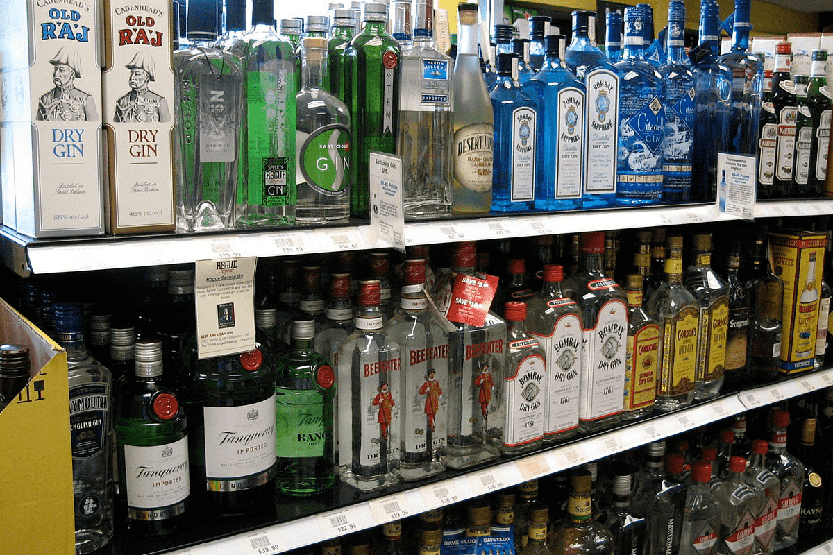 2024 Cin Fiyatları: En Güncel Liste! (Gordon’s, Gilbey’s, Hendricks Dahil)