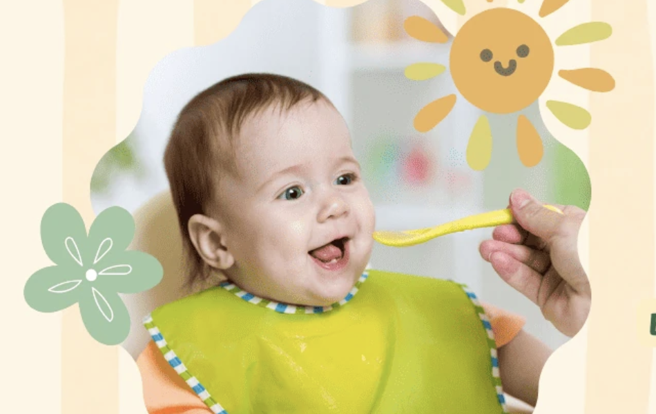 Organik Baharat Nereden Alınır?